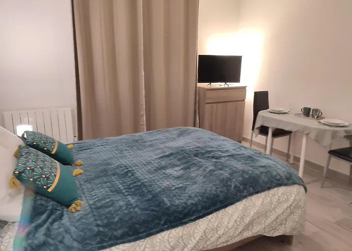 Cosy La Dacquoise Centre-ville Internet Haut-debit Apartment *